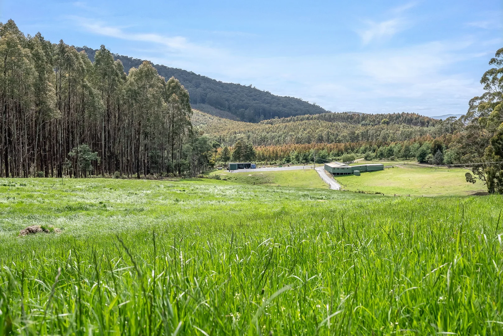 Additional image 10 of 98 Settlement Road, Flowery Gully TAS 7270