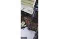 Additional image 68 of 3202 Presbury St, Baltimore, MD, 21216