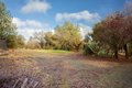 Additional image 23 of 10988 Pleasant Valley Rd, Penn Valley, CA, 95946