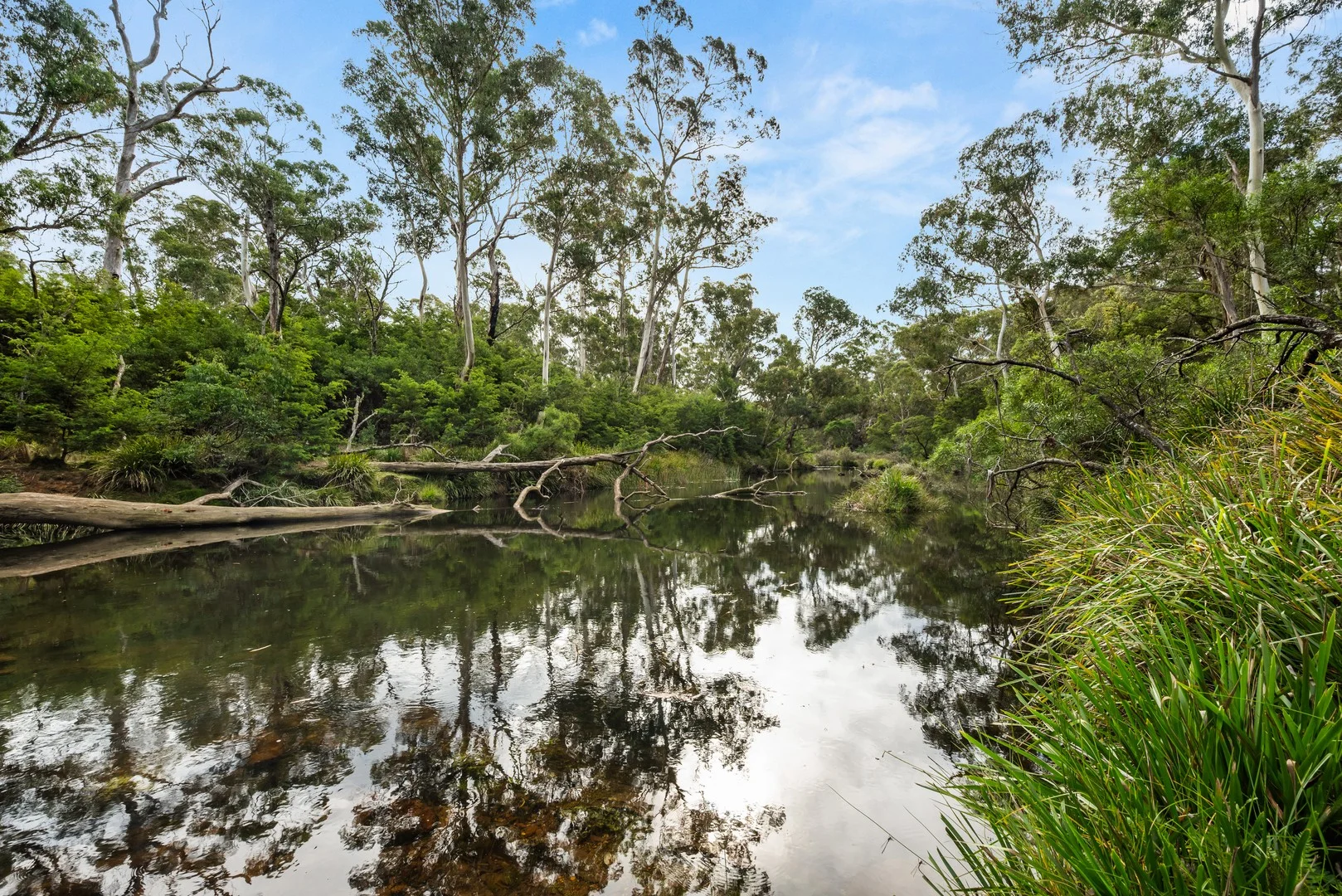 497 Northangera Road, Braidwood NSW 2622