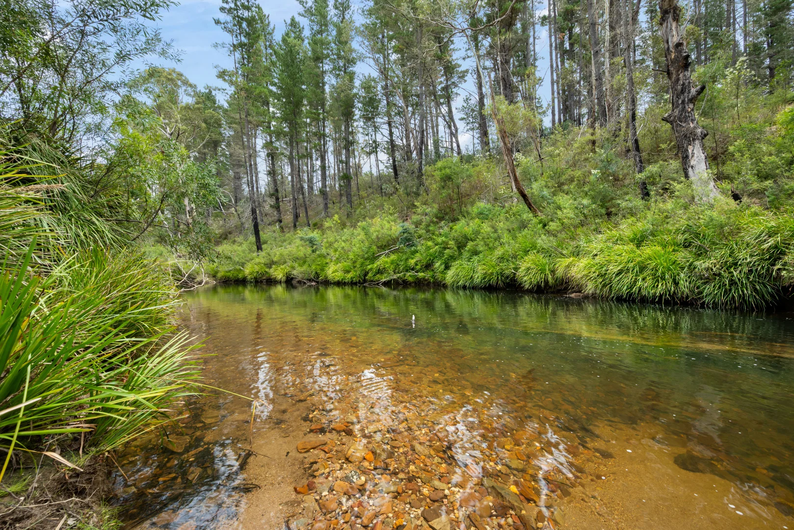 Additional image 31 of 7288 Nerriga Road, Braidwood NSW 2622