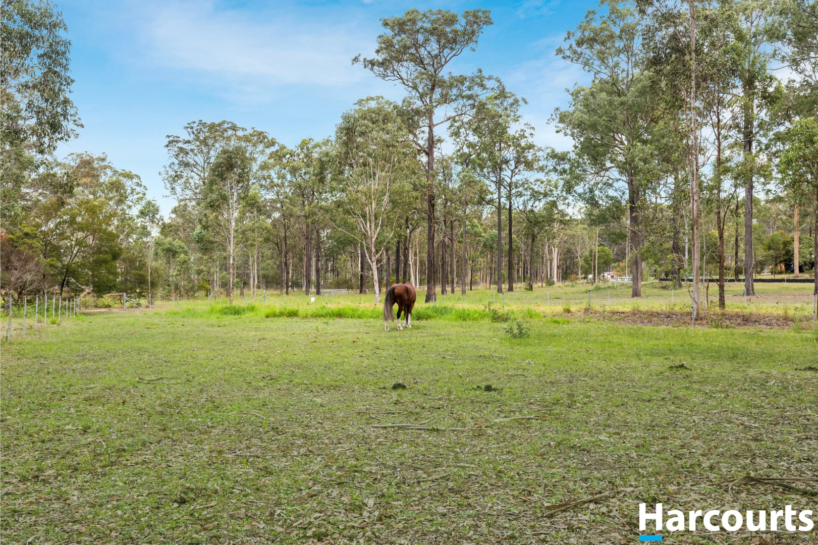 Additional image 26 of 52 Forest Glen Road, Limeburners Creek NSW 2324
