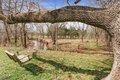 Additional image 41 of 15 Welisewitz Rd, East Amwell Township, NJ, 08551