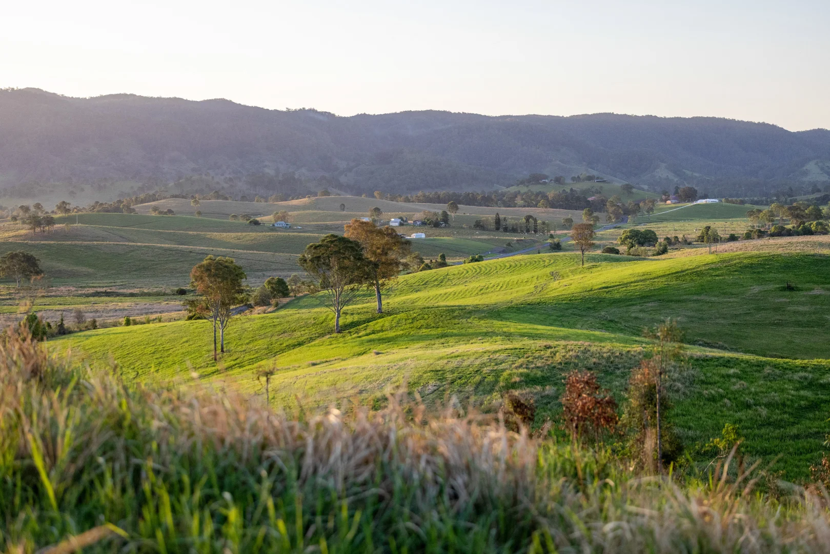 Additional image 26 of 1890 Maleny - Kenilworth Road, Conondale QLD 4552