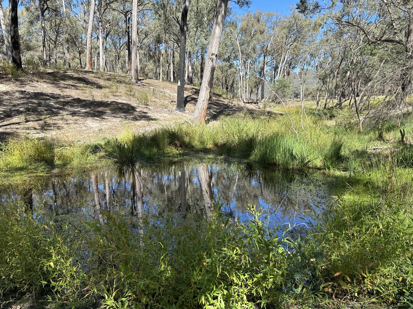 Additional image 8 of 880 Lima East Road, Lima East VIC 3673
