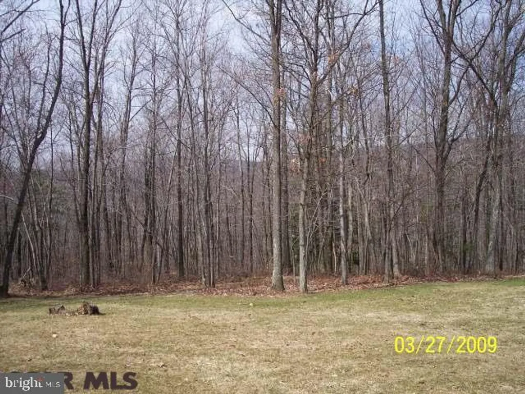 ON Mudlick Road, Julian, PA 16844
