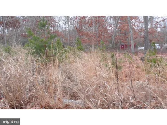 Additional image 2 of 12 Angela Drive, Tuckerton, NJ 08087