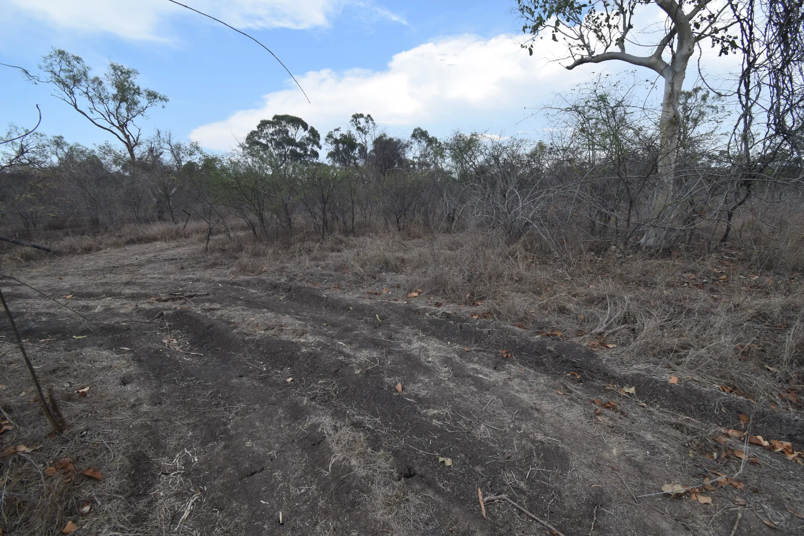 Additional image 5 of 8 Coventry Road, Guthalungra QLD 4805