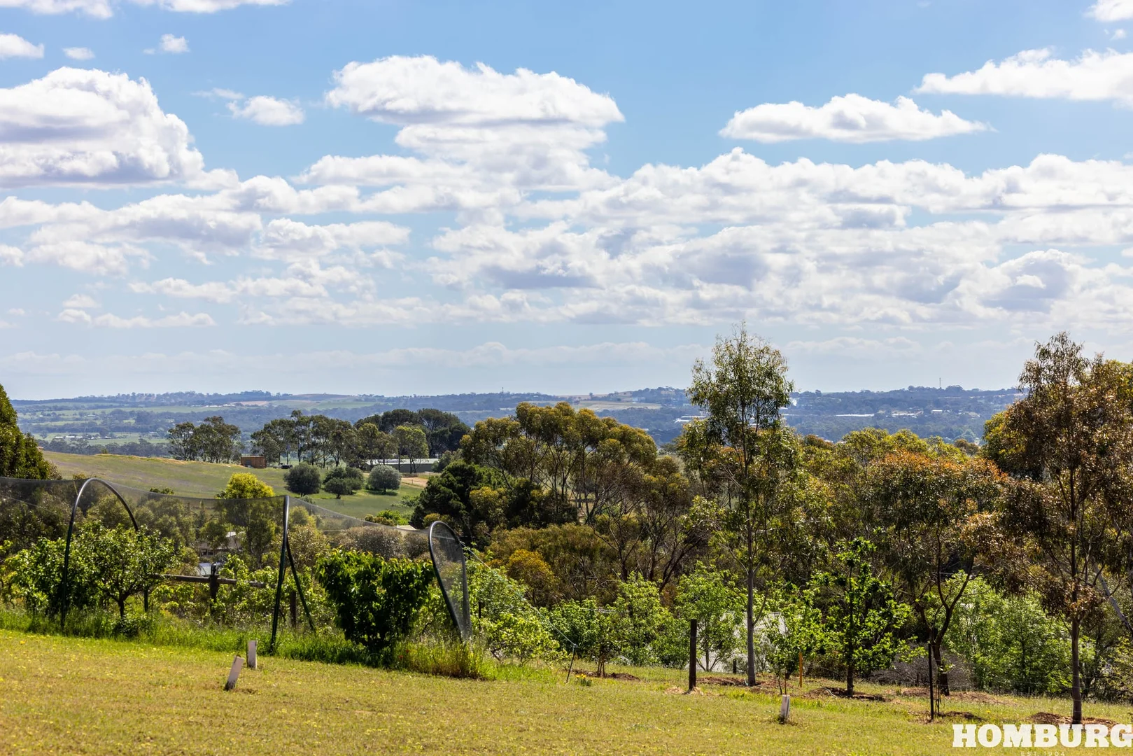 Additional image 4 of 21 Rodda Drive, Angaston SA 5353