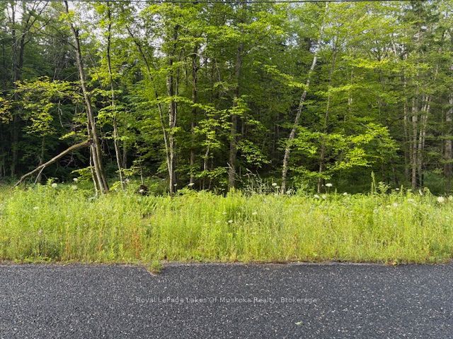 Additional image 3 of 47 Summer Leigh Trail, Huntsville, ON, P0B 1M0