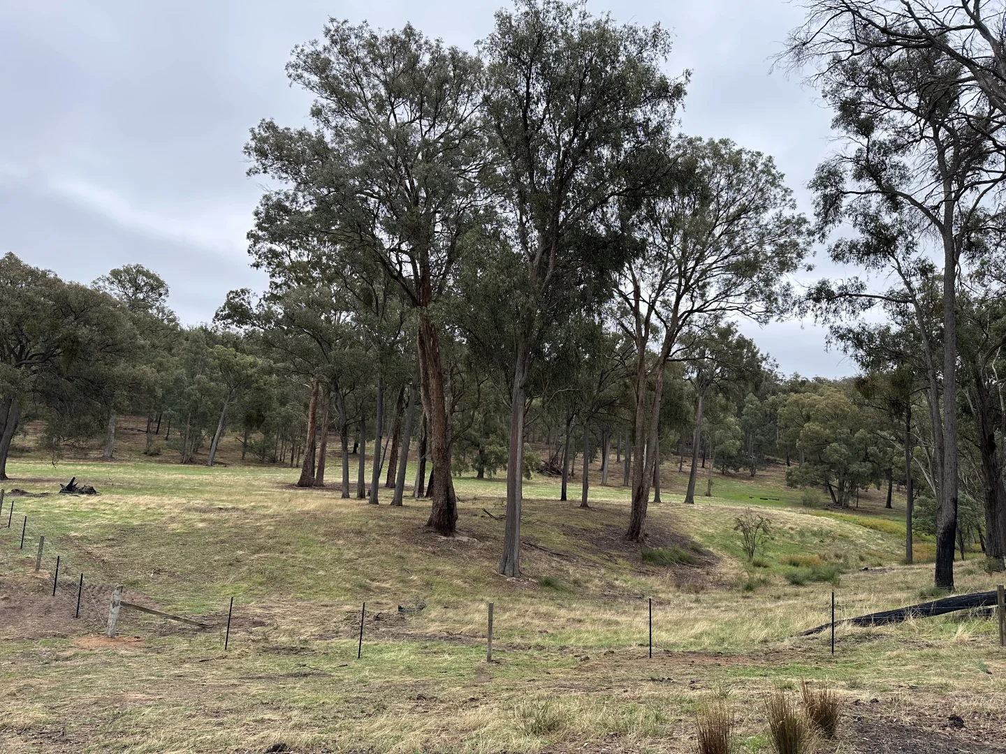 Additional image 20 of 880 Lima East Road, Lima East VIC 3673