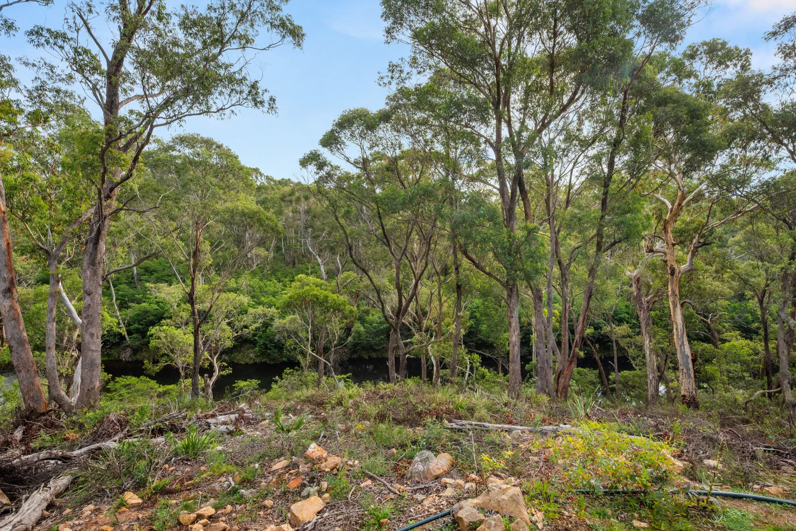 Additional image 37 of 497 Northangera Road, Braidwood NSW 2622