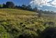 Additional image 6 of Land At Cae-Deial, Llanfihangel, Powys, SY22