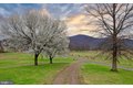 Additional image 105 of 15715 Merrill Ln, Rawlings, MD, 21557