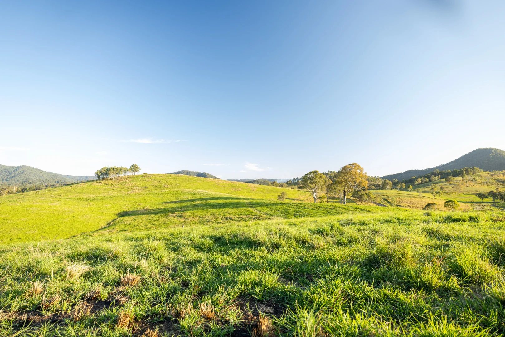 Additional image 8 of 1890 Maleny - Kenilworth Road, Conondale QLD 4552