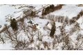 Additional image 46 of 380 Stafford Ave, Waterville, NY, 13480