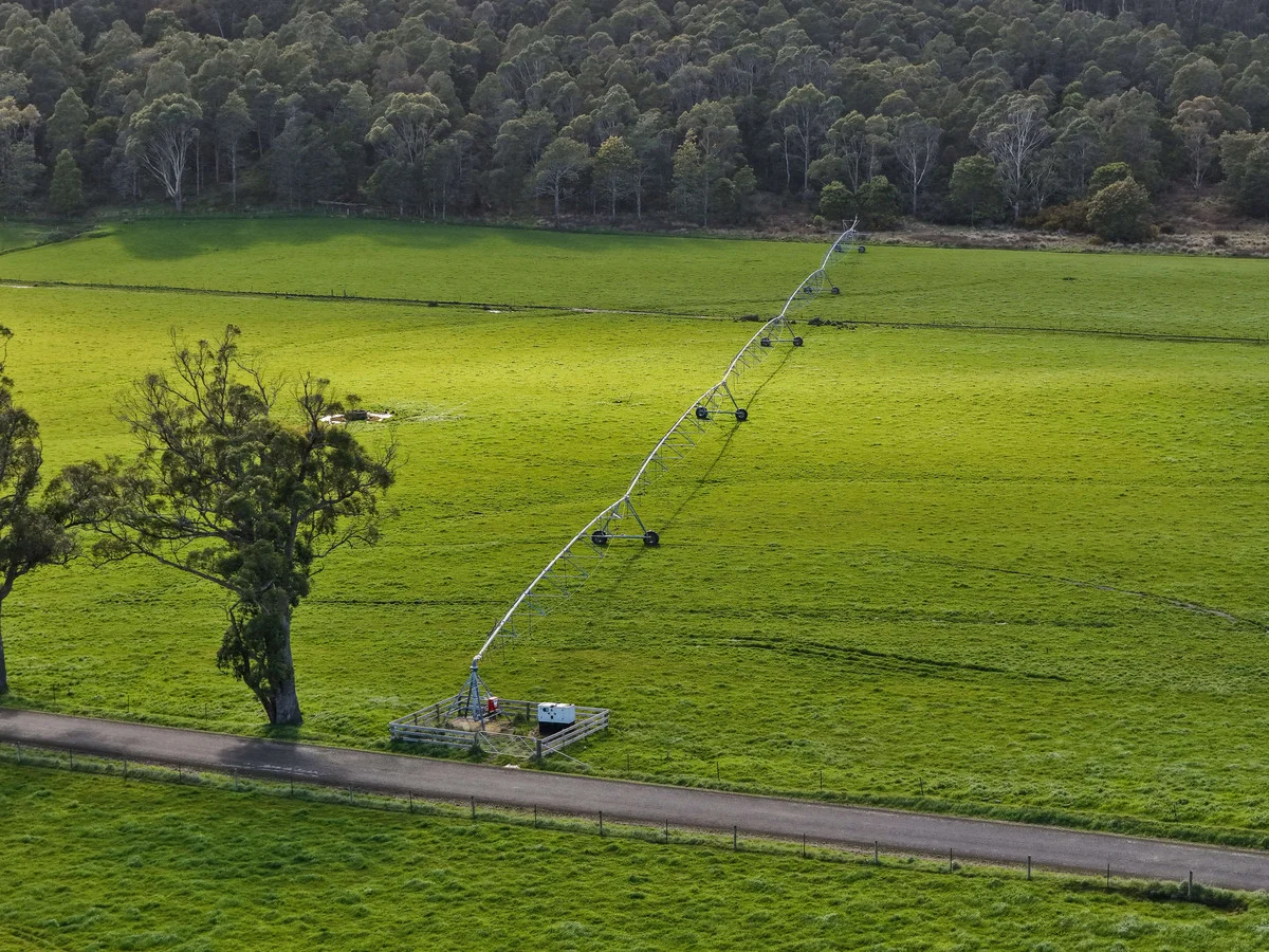 Additional image 6 of 1037 & 1044 Dairy Plains Road, Western Creek TAS 7304