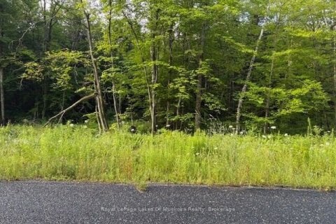 Additional image 7 of 47 Summer Leigh Trail, Huntsville, ON, P0B 1M0