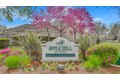 Additional image 48 of 805 Devonshire Loop, Brentwood, CA, 94513