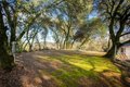 Additional image 39 of 10988 Pleasant Valley Rd, Penn Valley, CA, 95946
