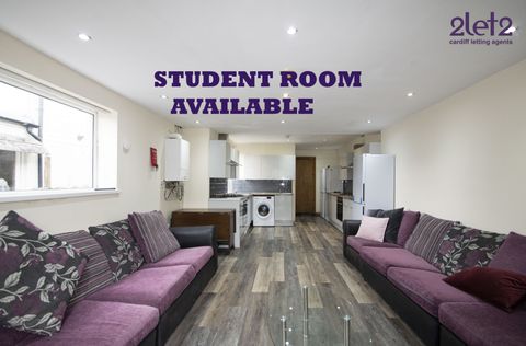 Harriet Street, Cathays CF24, Room to rent