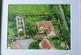 Additional image 24 of 5 Wrays Yard, The Green, Nocton