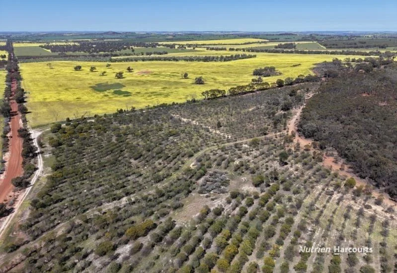 184 Ewert Road, Morbinning WA 6304 photo 5
