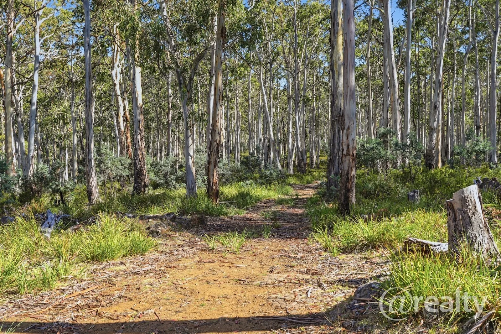 Additional image 2 of 2340 Victoria Valley Road, Victoria Valley TAS 7140