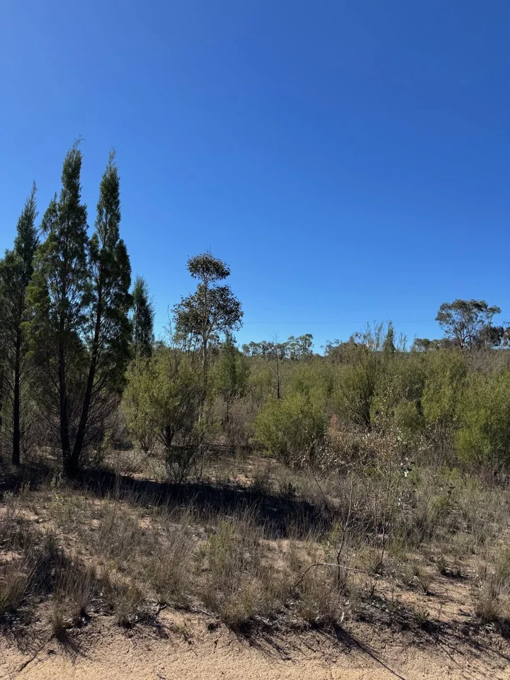 699 Cypress Drive, Mudgee NSW 2850 photo 2