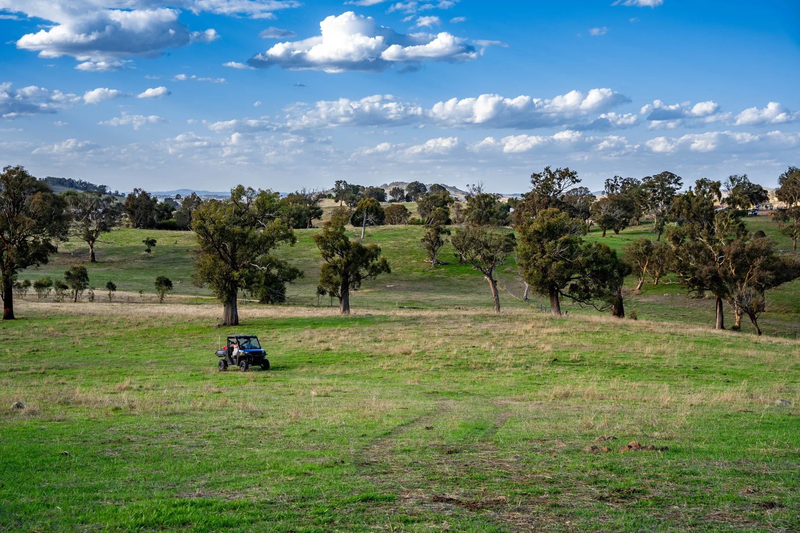 Additional image 25 of "Savannah Springs" 294 Rolfe Road, Wallaroo NSW 2618