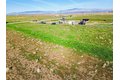 Additional image 34 of 49858 110th St W, Lancaster, CA, 93536