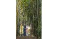 Additional image 76 of 1493 Sycamore Canyon Rd, Santa Barbara, CA, 93108