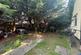Additional image 6 of Rostrevor Gardens, Southall