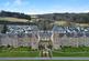 Additional image 28 of Great Glen Place, Inverness IV3
