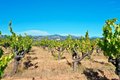 Additional image 68 of 25845 Dutcher Creek Rd, Cloverdale, CA, 95425