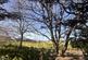 Additional image 14 of Highfields, Shrewsbury, Shropshire, SY2