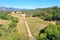 Additional image 58 of 25845 Dutcher Creek Rd, Cloverdale, CA, 95425
