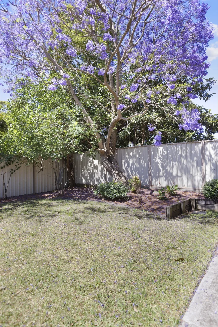 Additional image 24 of 73 Broadarrow Road, Narwee NSW 2209