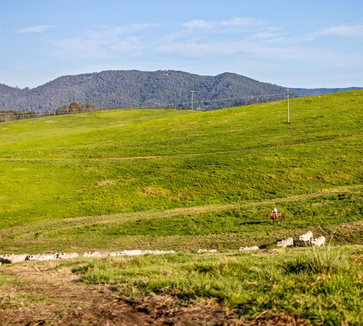 Additional image 10 of 1890 Maleny - Kenilworth Road, Conondale QLD 4552