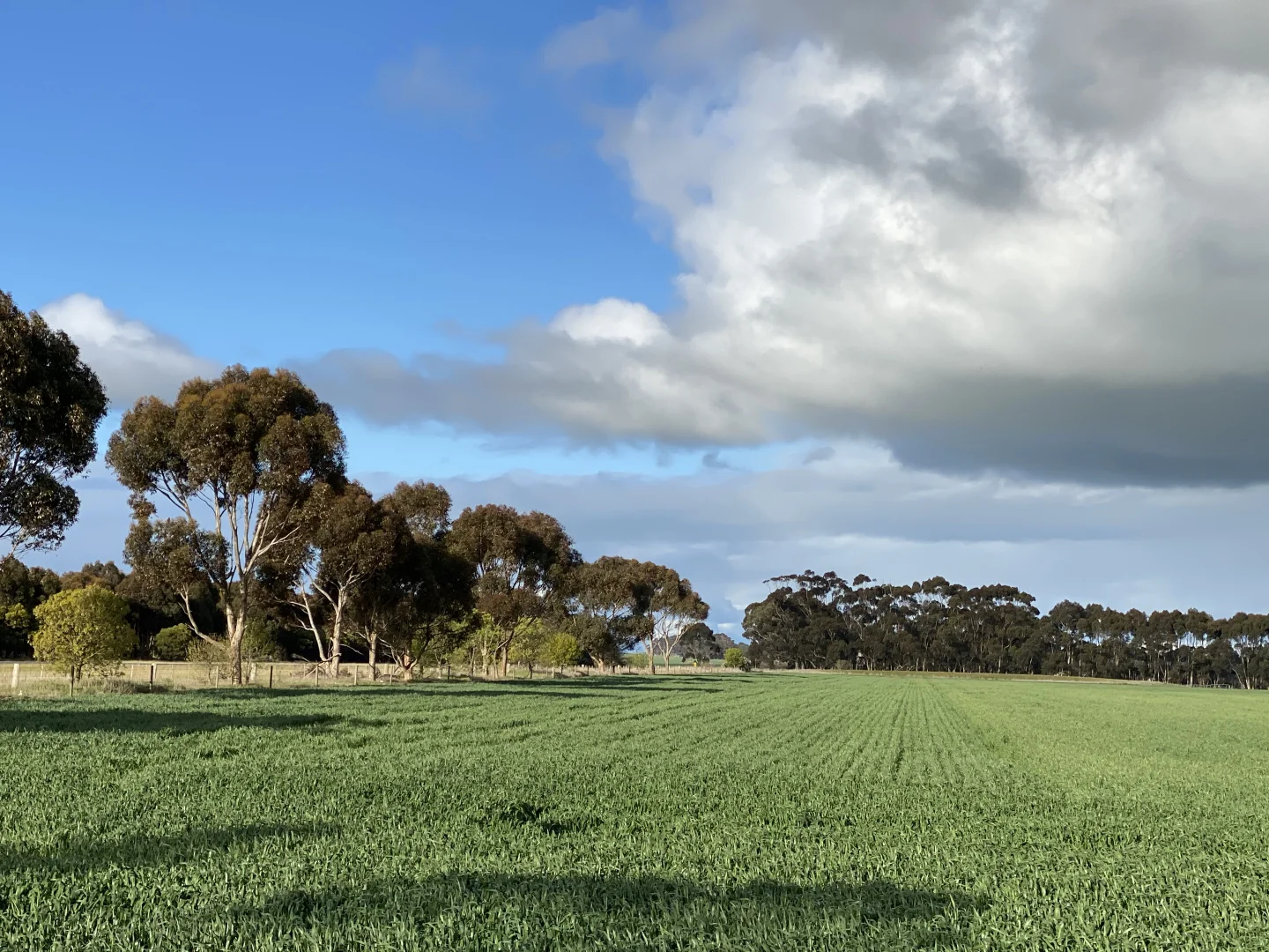 Additional image 2 of 1205 Lower Darlington Road, Lismore VIC 3324