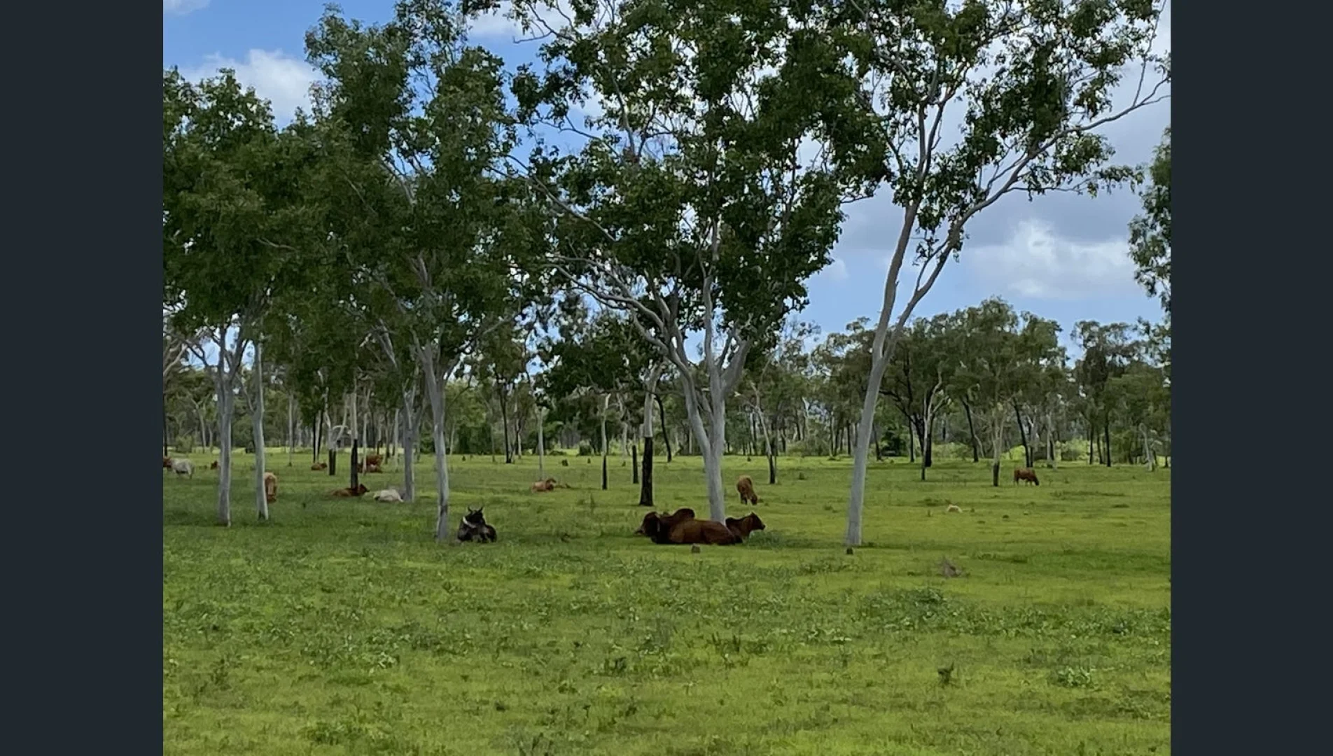 Additional image 5 of 69 Squatters Road, Brookhill QLD 4816