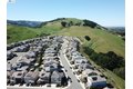 Additional image 44 of 878 Via Palermo, San Ramon, CA, 94583