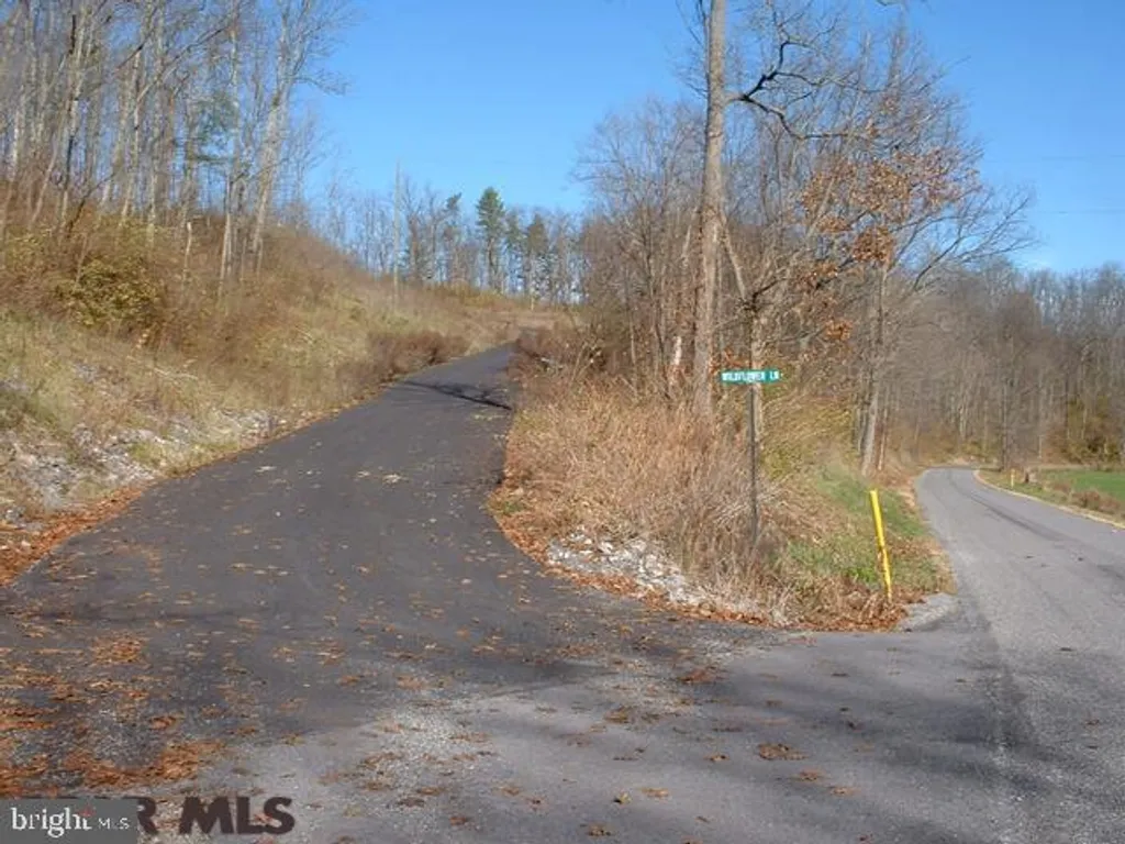 ON Wildflower Lane Lot 2, Spring Mills, PA 16875