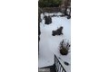 Additional image 66 of 3202 Presbury St, Baltimore, MD, 21216