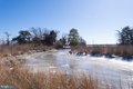 Additional image 66 of 5210 Wilson Rd, Cambridge, MD, 21613