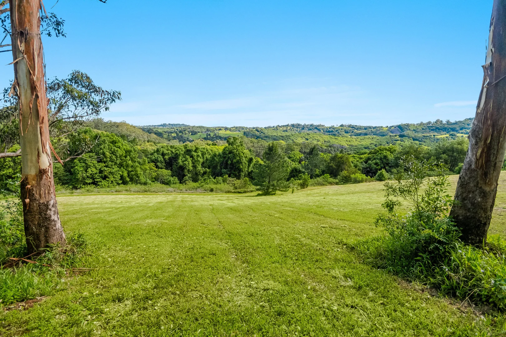 Additional image 10 of 510 Goonengerry Road, Montecollum NSW 2482
