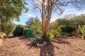 Additional image 45 of 2454 Oro Quincy Hwy, Oroville, CA, 95966
