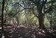 Additional image 27 of Lime Kiln Lane, Holbury, Southampton, Hampshire, SO45