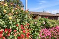 40930 Rioja Ct, Fremont, CA, 94539 photo 4