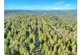 Additional image 49 of 13202 Quaker Hill Cross Rd, Nevada City, CA, 95959